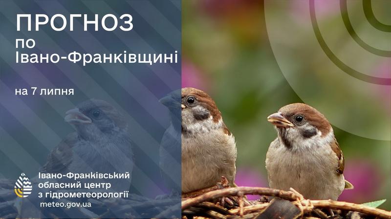 Завтра в Прикарпатті ожидается температура до +35°.