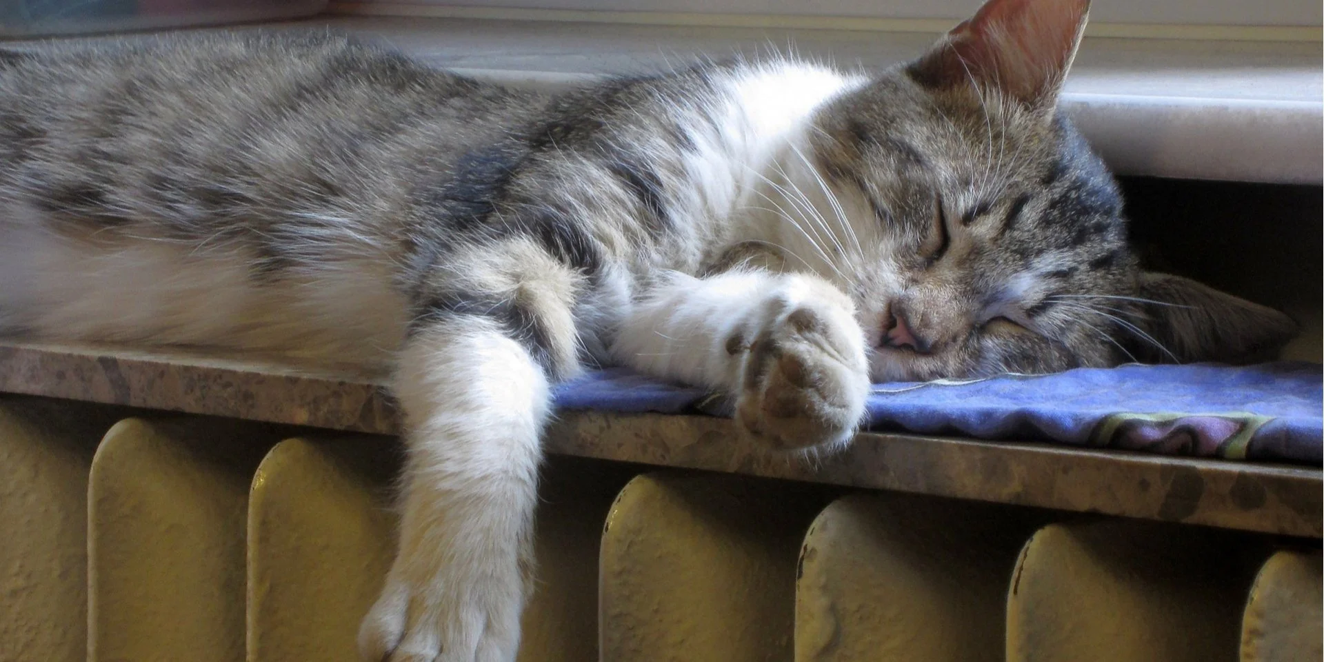 Енергетична незалежність. У 90% нових будівель в Україні відсутня центральна система опалення.