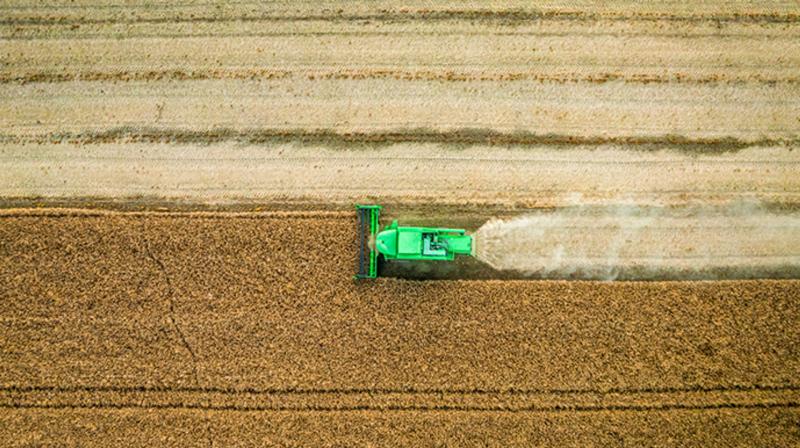 В Україні спостерігається зменшення числа великих агрокомпаній-землевласників на третину: топ-10 лідерів.