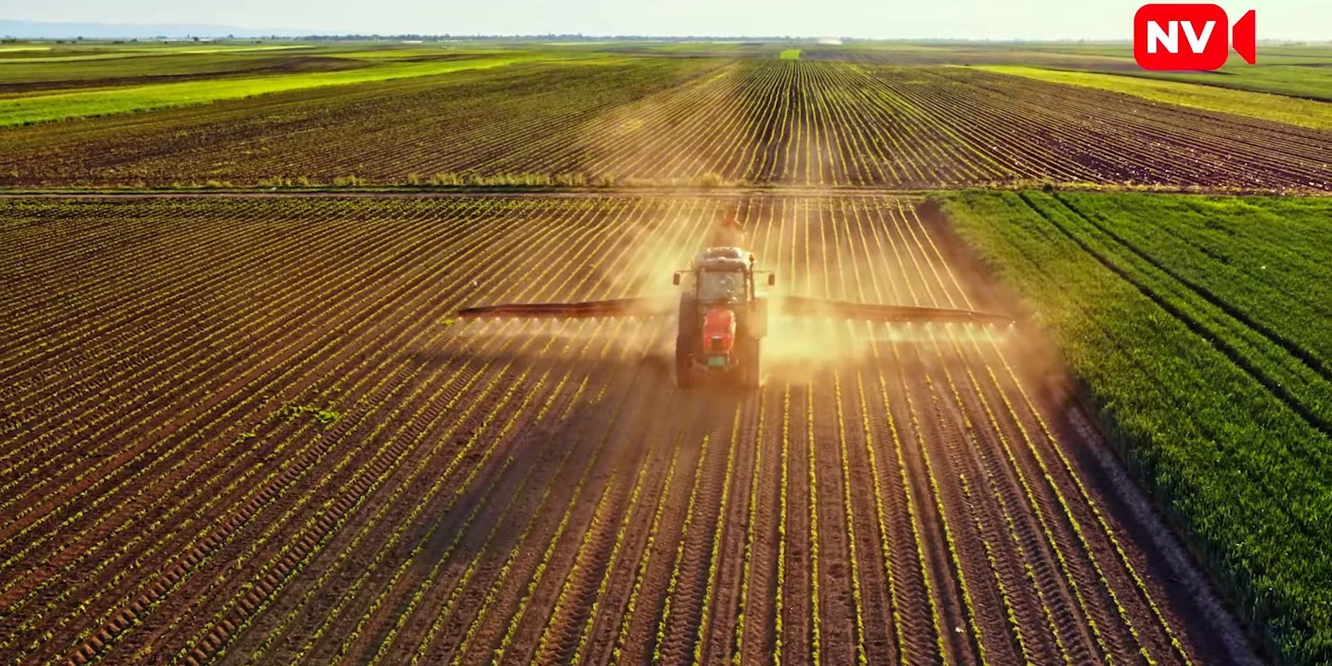 Величезні землевласники. Лише 10 компаній контролюють майже третину земельних угідь у корпоративній власності — чи слід вважати це проблемою?