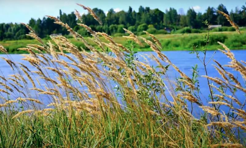 Сьогодні температура піднялася до +18 градусів, але є важливий момент: метеорологи застерегли про можливі дощі та ризики в гірських районах.