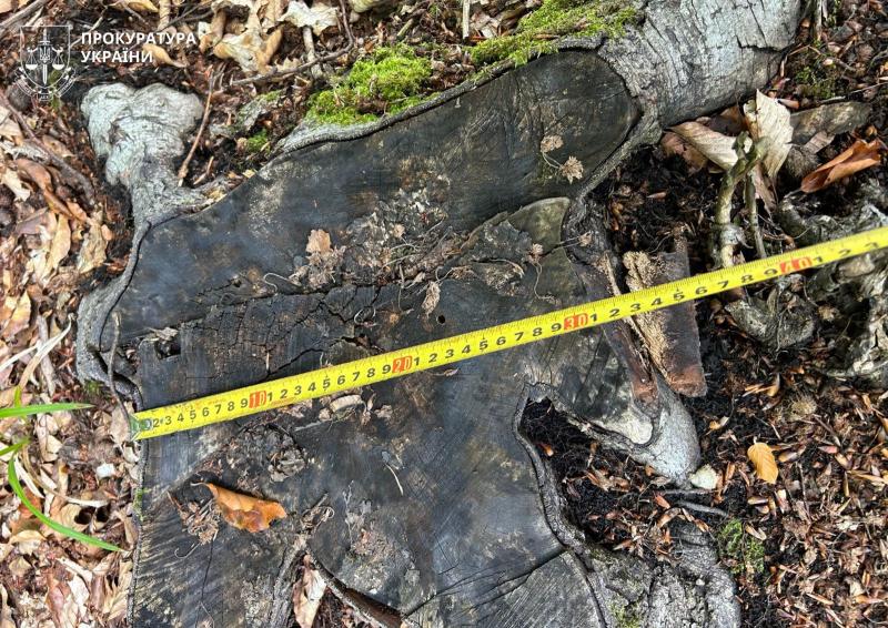 Позов на небувалу суму. Прокуратура розпочала судовий процес проти 