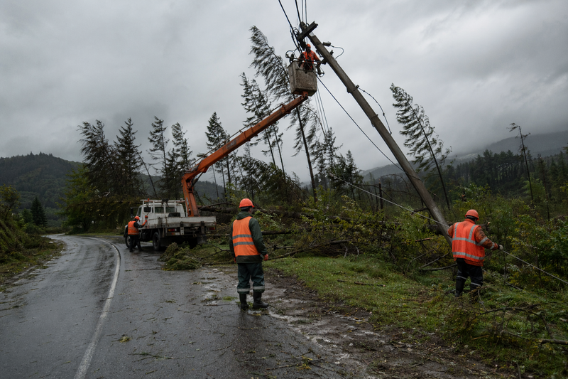 В Івано-Франківській області буревій зламав дерева, внаслідок чого відбулося пошкодження електричних ліній.