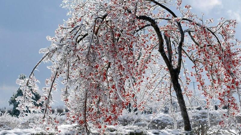 Прогноз погоди в Україні на неділю, 9 лютого - В режимі відпочинку.