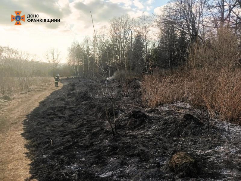 В Прикарпатському регіоні триває спалювання рослинності: за останню добу зафіксовано 57 випадків пожеж.