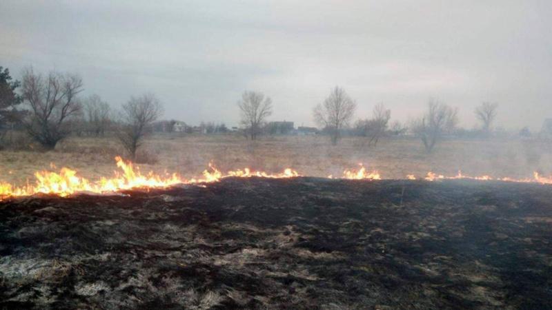 У Прикарпатському регіоні протягом доби було зареєстровано 69 випадків загоряння сухої рослинності.