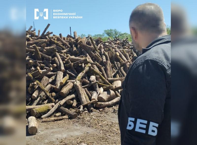 Дрова для ЗСУ: витрати перевищили 90 млн грн з державного бюджету - Новини Весь Харків