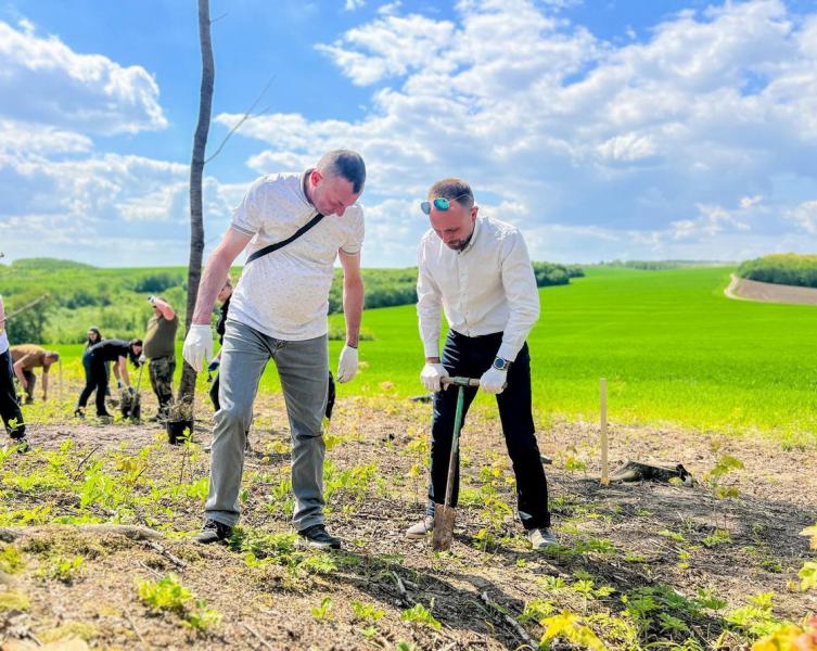 На Прикарпатті вшанували пам'ять українських Героїв, висадивши саджанці дуба та модрини.