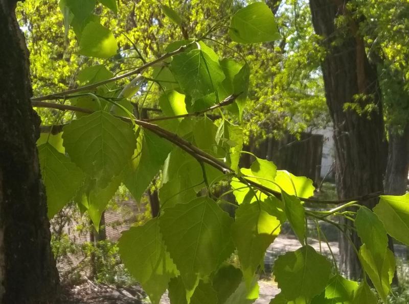 Прогноз погоди для України на вівторок, 6 травня - На відпочинку.
