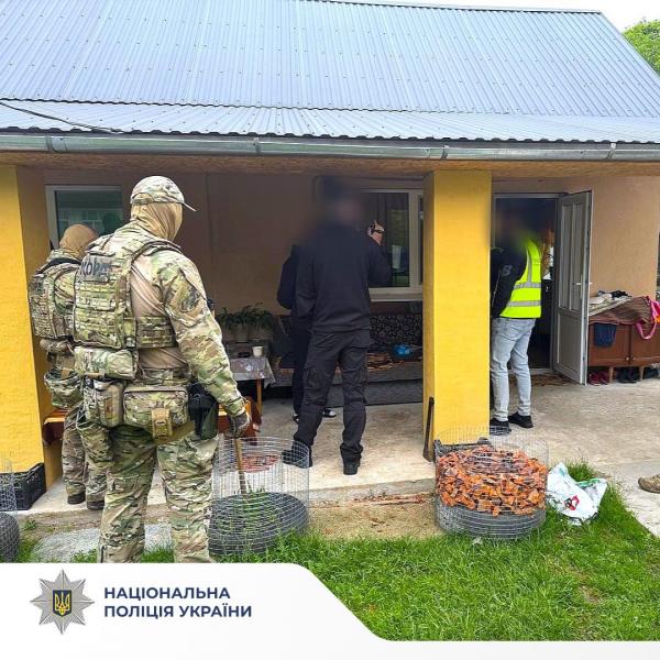 Наркотичні засоби, шантаж та викрадення осіб: у Франківській області затримана злочинна організація.