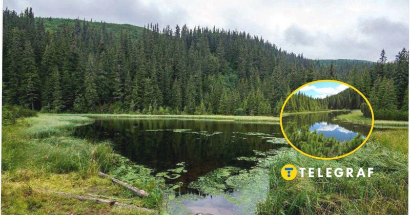 Знаходиться на значній висоті в гірських масивах і оточене сосновими лісами: яким чином виглядає озеро Марічейка в Карпатах та якими маршрутами можна до нього добратися.
