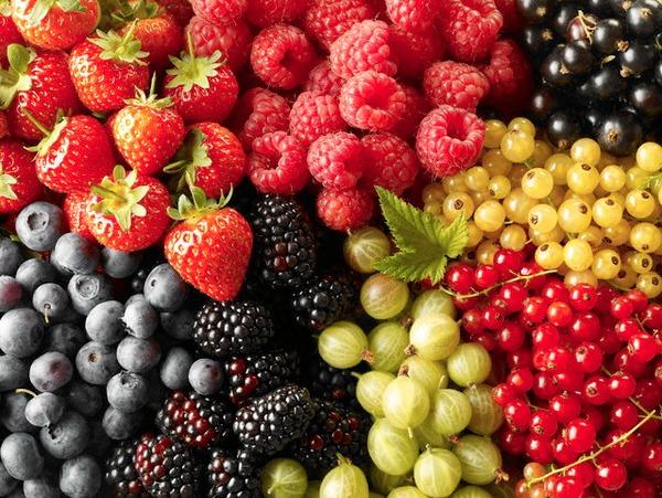 В Івано-Франківській області розпочинається ініціатива 