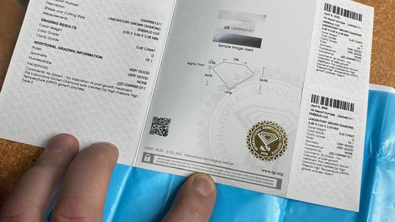 Діаманти, заховані в мікроавтобусі, та iPhone 17 Pro Max у сумці були вилучені на пункті пропуску Шегині.