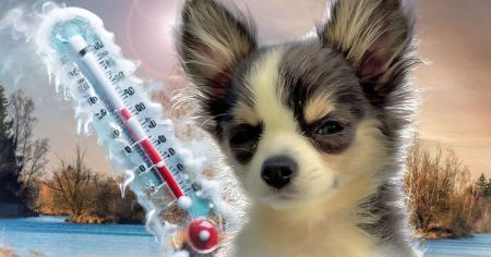 Які області України покриє сніг у вихідні: прогнози синоптикині