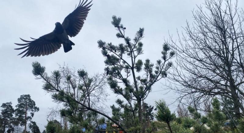 Завтра в Києві очікується останній теплий день перед настанням холодів.