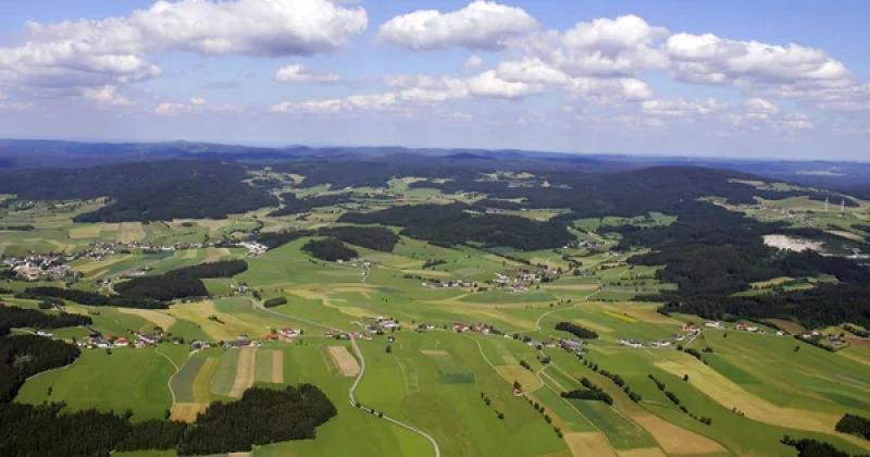 Близько третини земельних наділів в Україні контролюється лише десятьма компаніями: факти та деталі -- Delo.ua