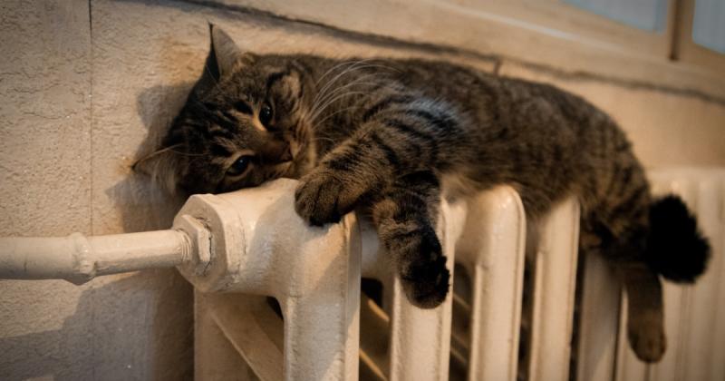 Влада Прикарпаття оголосила про обстріл з боку Росії, внаслідок якого в одному з населених пунктів призупинили постачання тепла.