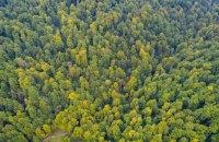 Державі повернули 20 земельних ділянок поблизу Буковелю, які обрамлені столітніми лісовими масивами.