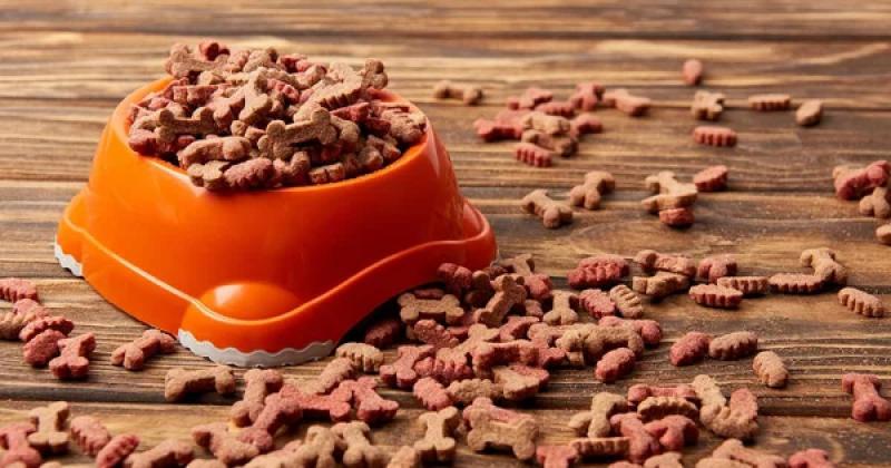 У Калуші планується інвестиція в розмірі 10 мільйонів євро для створення нового заводу з виробництва кормів для тварин, повідомляє Delo.ua.