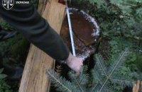 Знищено більше 200 гектарів лісових угідь: в Прикарпатті розпочато судовий процес проти підозрюваних у великомасштабній вирубці в Національному природному парку Гуцульщина.