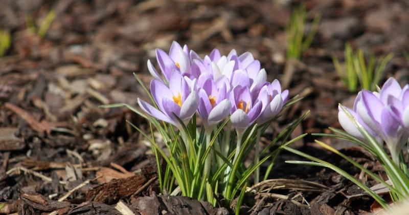 Циклон з Балкан принесе зміни в погодні умови в Україні: метеорологи повідомили, де температура підніметься до +18 градусів, а де слід очікувати дощі.