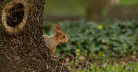 Різке зниження температури після незвично теплих днів: метеорологи поділилися інформацією про регіони, де варто очікувати на заморозки та сильні пориви вітру.