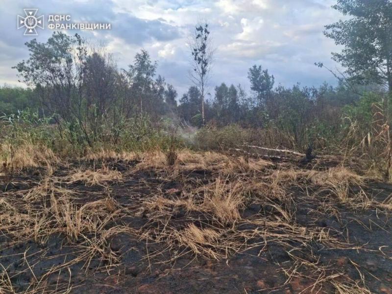 У селі Колоколин на Прикарпатті впродовж майже п'яти днів ліквідовували пожежу торф'яників.