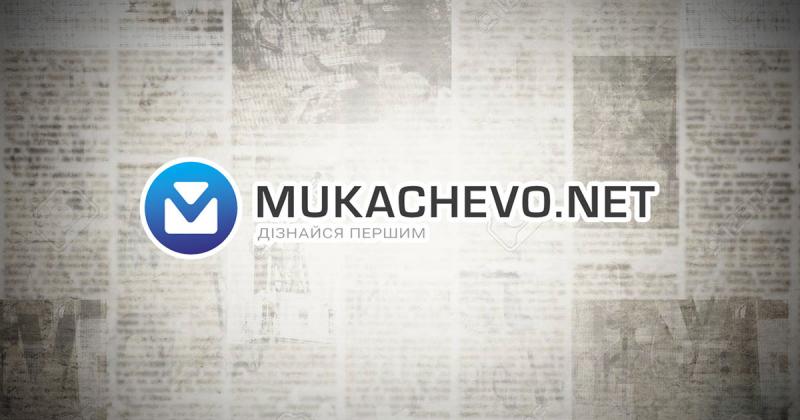 У Закарпатті та Прикарпатті внаслідок спекотної погоди було збільшено кількість патрулів у лісових масивах (ФОТО)